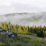 Scandinavian green landscape with a lot of pine trees and two small wooden houses