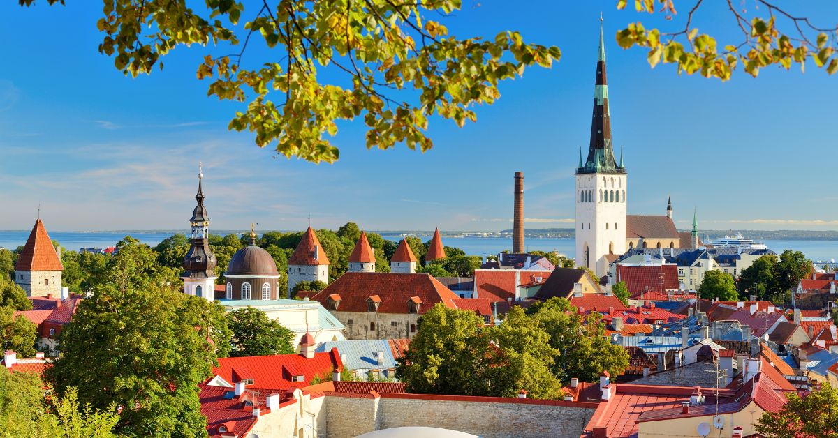 Aerial shot of Tallin, Estonia framed through the forest/