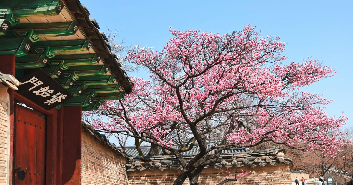 South Korea for digital nomads