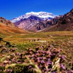 Argentina landscape