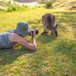 Life in Australia